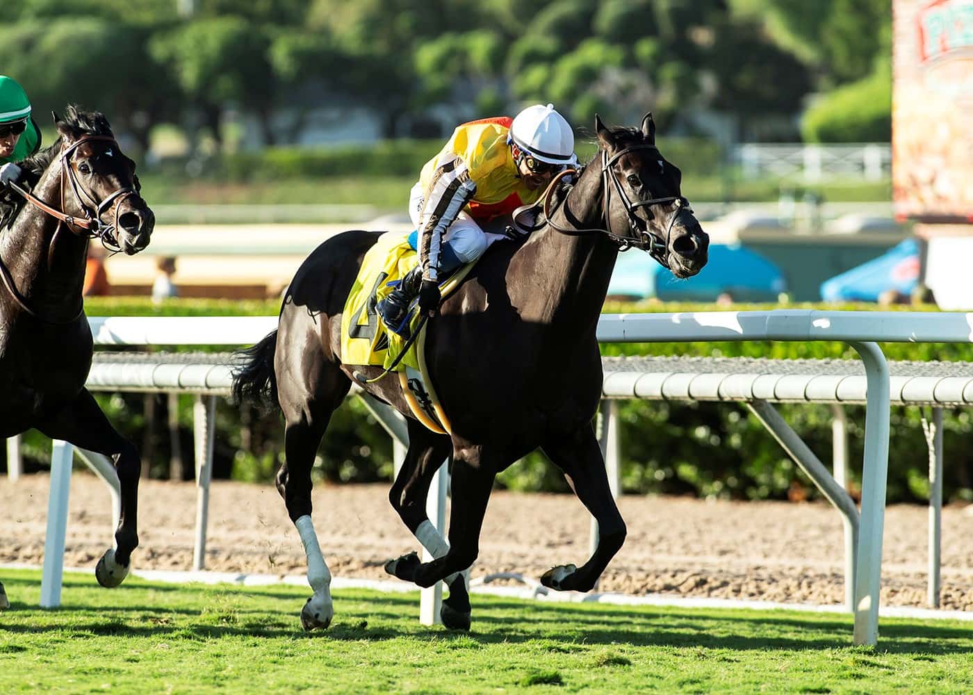 With Hall Of Fame Ride From Mike Smith, Sumter Scores In The $80,000 Lure Stakes