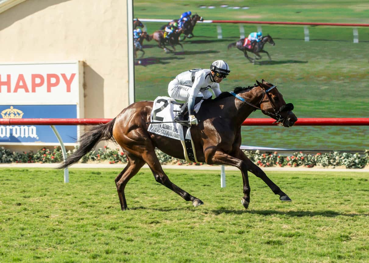 Going Global, Avenue de France Renew Rivalry In Saturday’s Grade II, $200,000 Goldikova Stakes