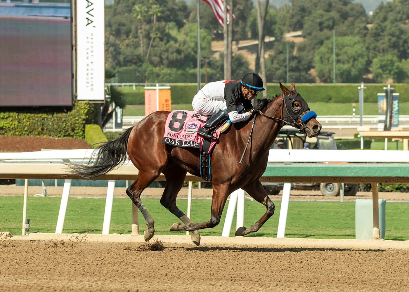 Non Compliant Scores At Even-Money For Baffert In GII, $200,000 Oak Leaf Stakes