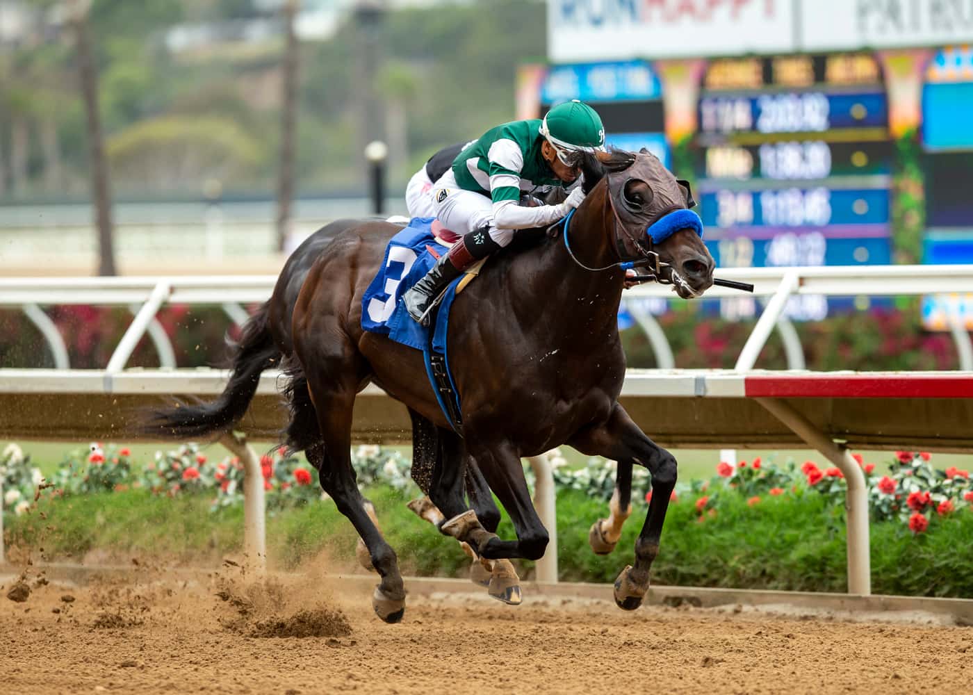 Long-Fused Heywoods Beach Is Horse To Beat In Marathon Grade III, $100,000 Tokyo City Cup