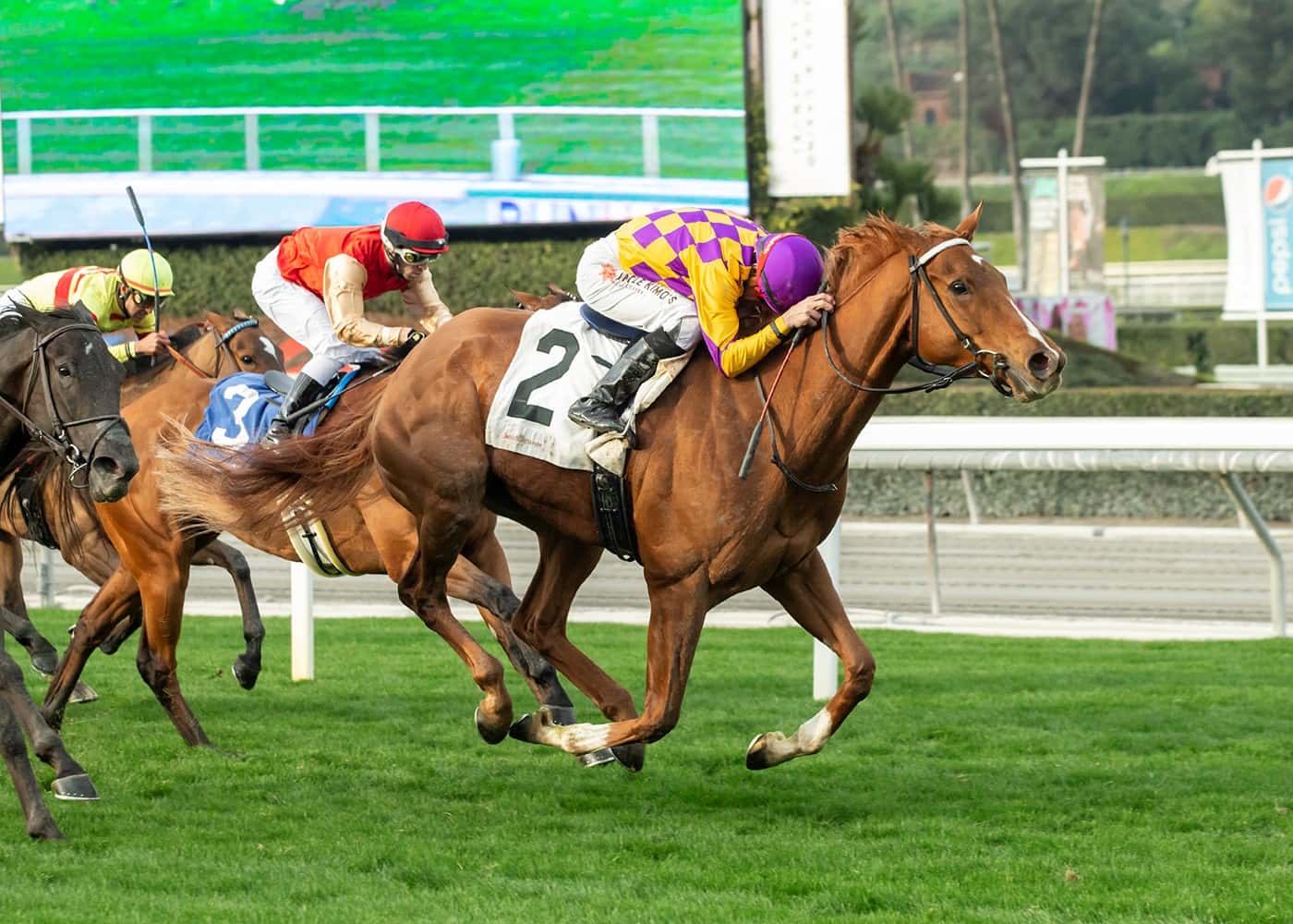 Stella Noir & Desormeaux Reunite On Hillside Turf For $75,000 Santa Anita Allowance Feature Win