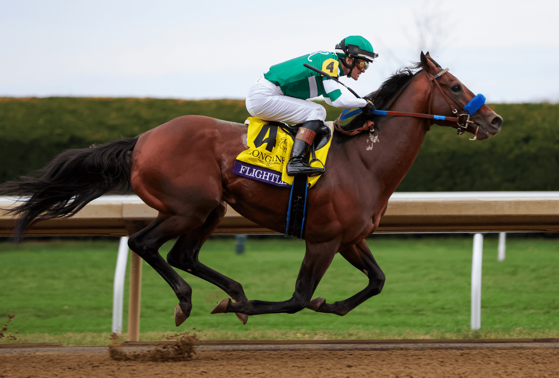 Santa Anita-Based Flightline Jets To 8 ¼ Length Win In Grade I, $6 Million Breeders’ Cup Classic