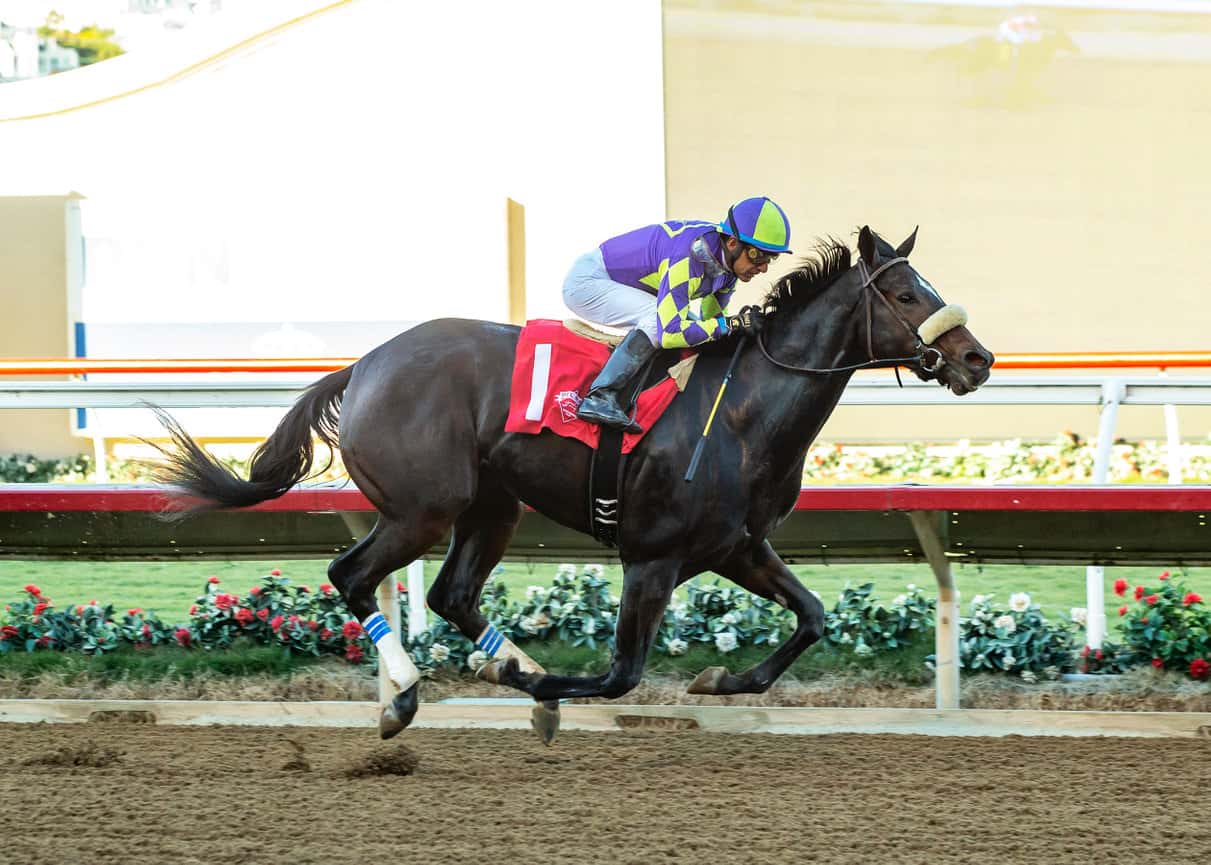 Highly Regarded Justique Heads Saturday’s Grade III, $200,000 Las Virgenes Stakes