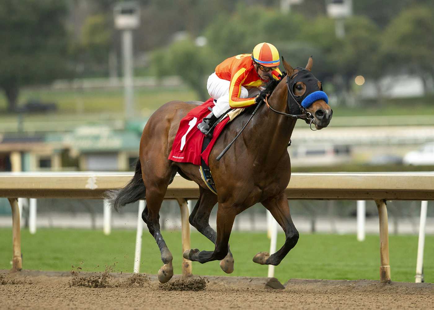 Havnameltdown Powers To 1 ½ Length Win In Grade II, $200,000 San Vicente Stakes 