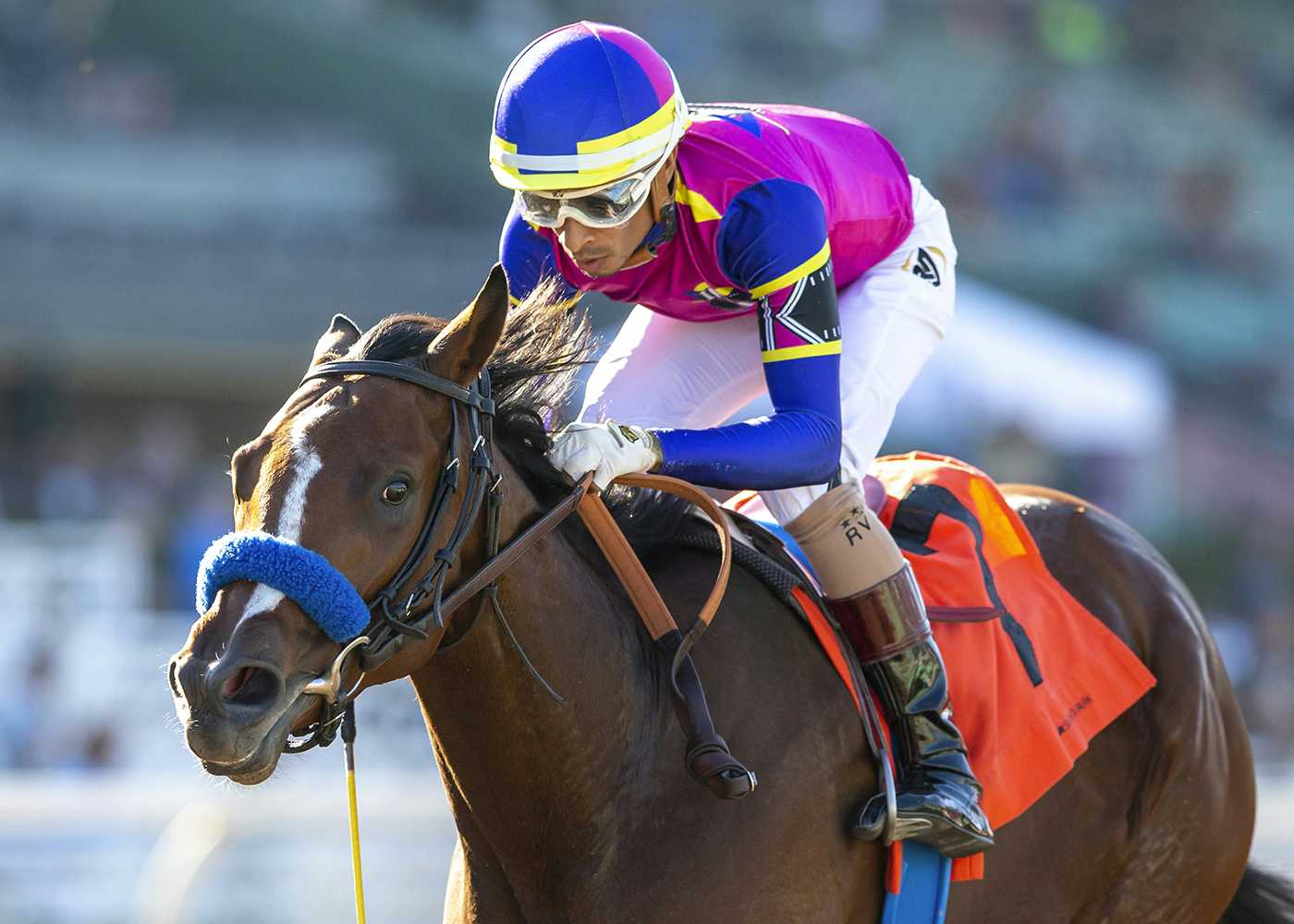 Cast Member Takes Leading Role In $175,000 Golden State Juvenile Fillies