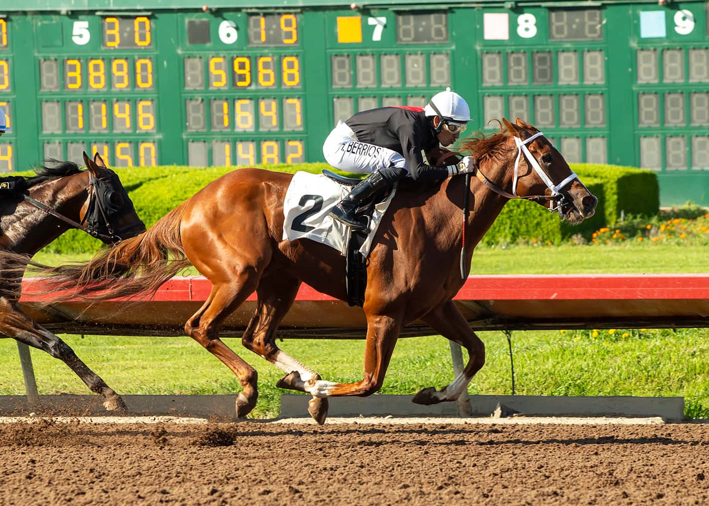 Classy The Chosen Vron Heads Field Of 11 In Sunday’s $100,000 California Flag Handicap 