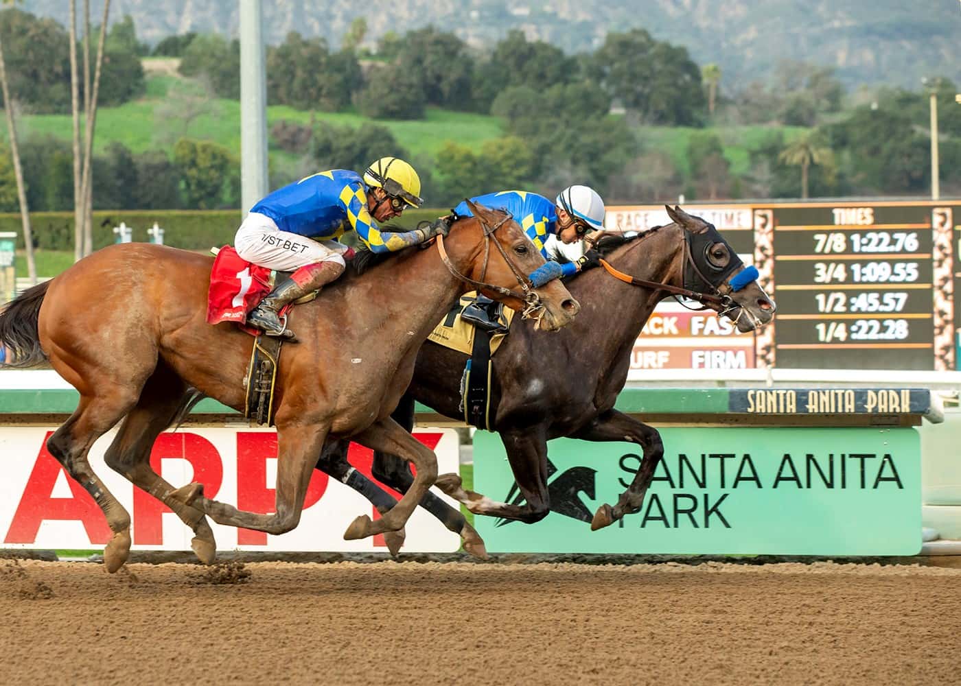 Newgate Heads Baffert Brigade In Saturday’s Grade III, $200,000 Robert B. Lewis Stakes