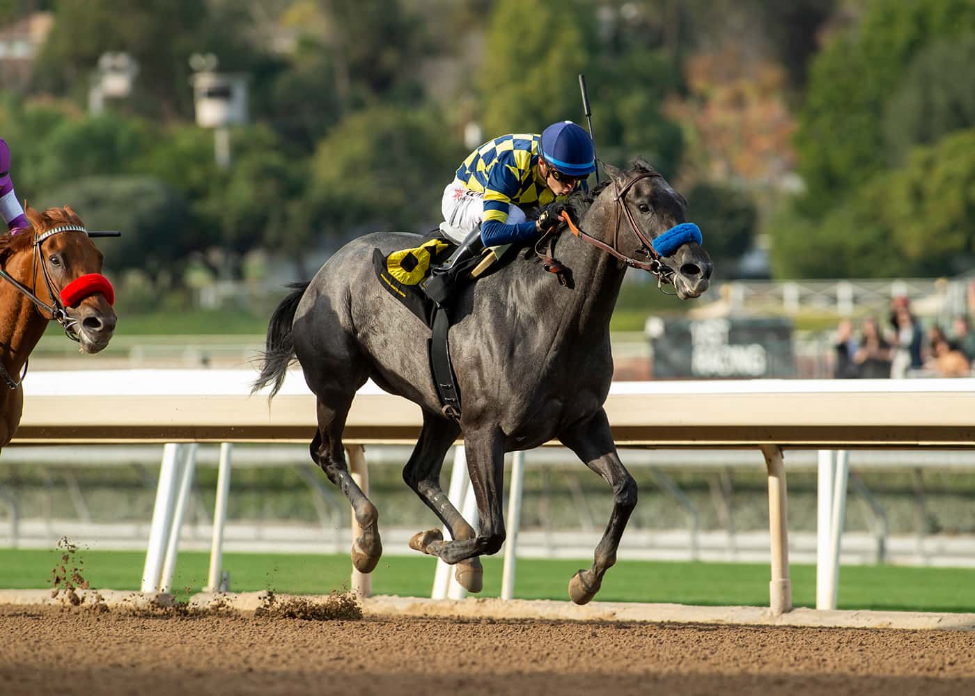 Streaking Fun To Dream Heads Saturday’s Grade II, $200,000 Santa Monica Stakes