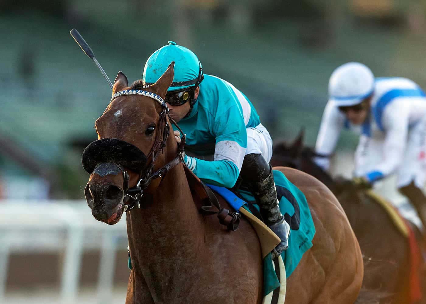 Amy C Shoots For Consecutive Stakes Wins In Grade III, $100,000 Las Cienegas Stakes