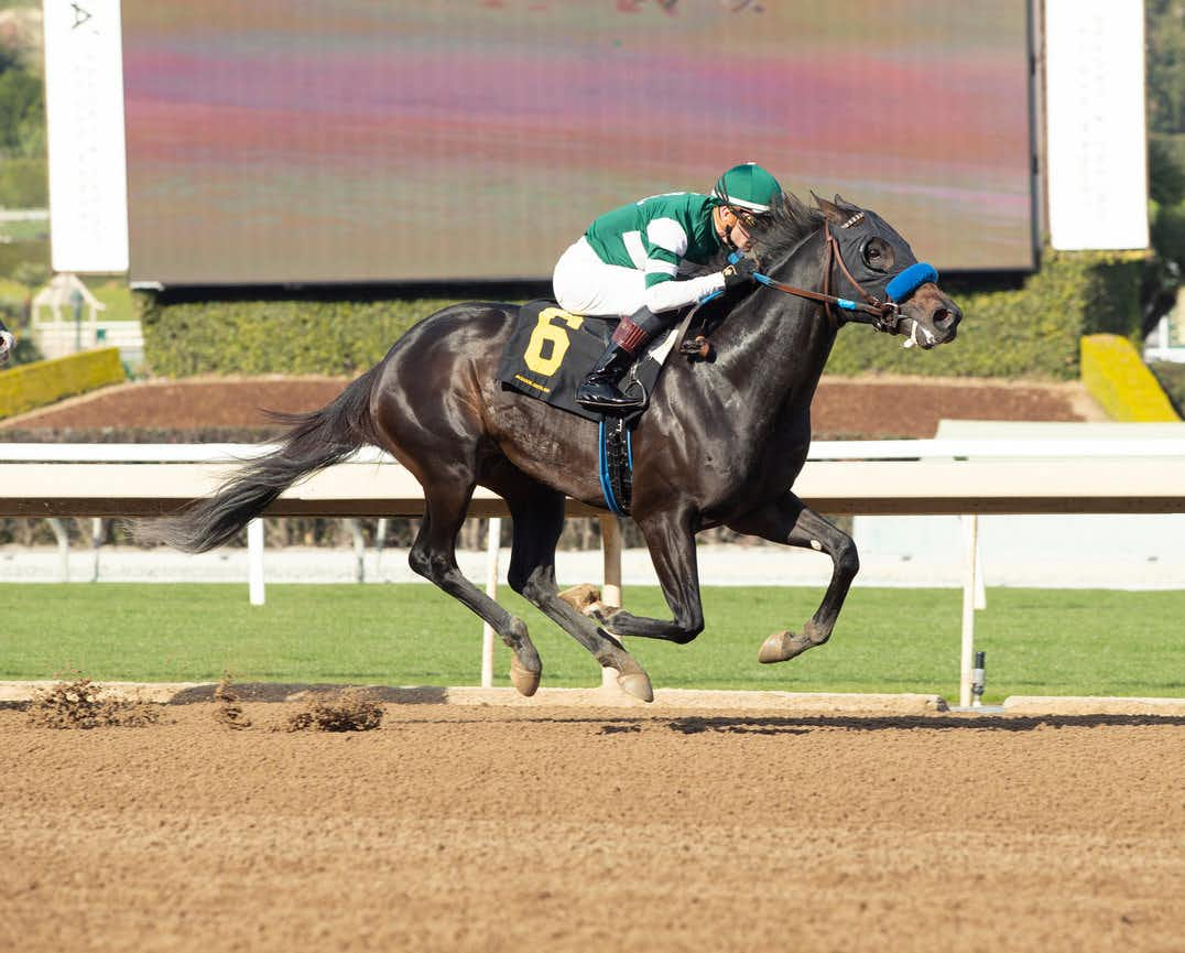 Heart Headed Favored For Breakthrough Win In Sunday's $100,000 John Shear Stakes