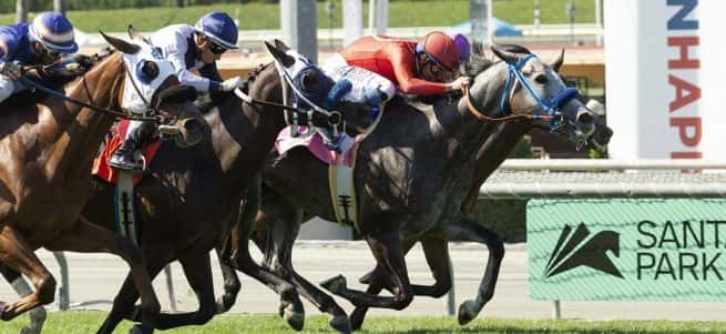 Teddy’s Barino Switches From Dirt To Turf & Stretches Out To Win $69,000 Santa Anita Allowance Feature