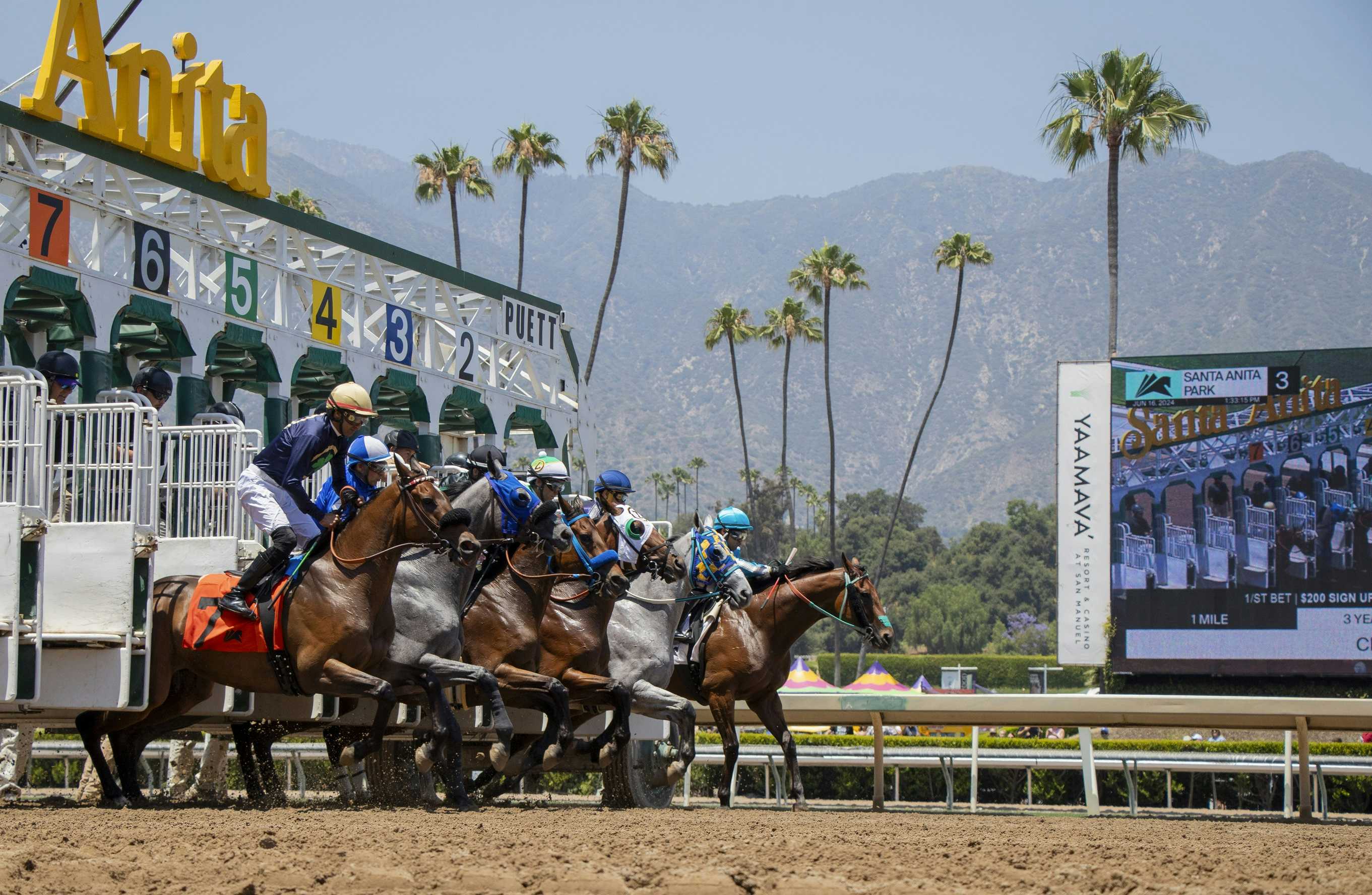 Santa Anita Park Completes Safest Year On Record