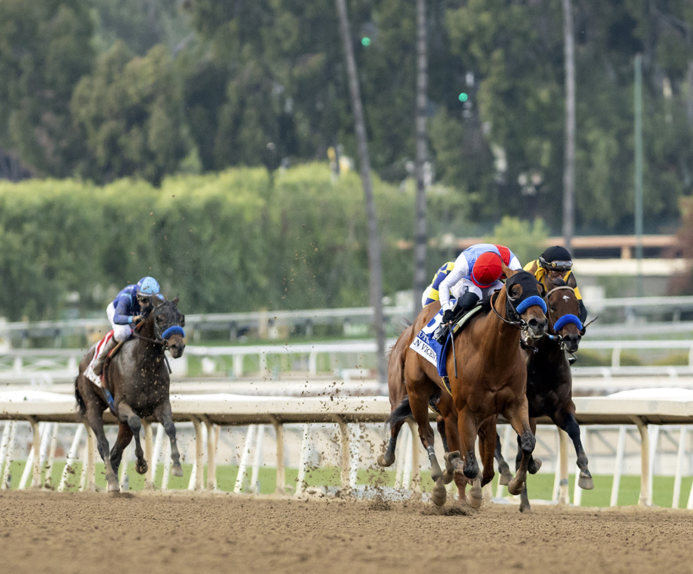 Inaugural California Crown Day At Santa Anita Attracts 146 Nominations