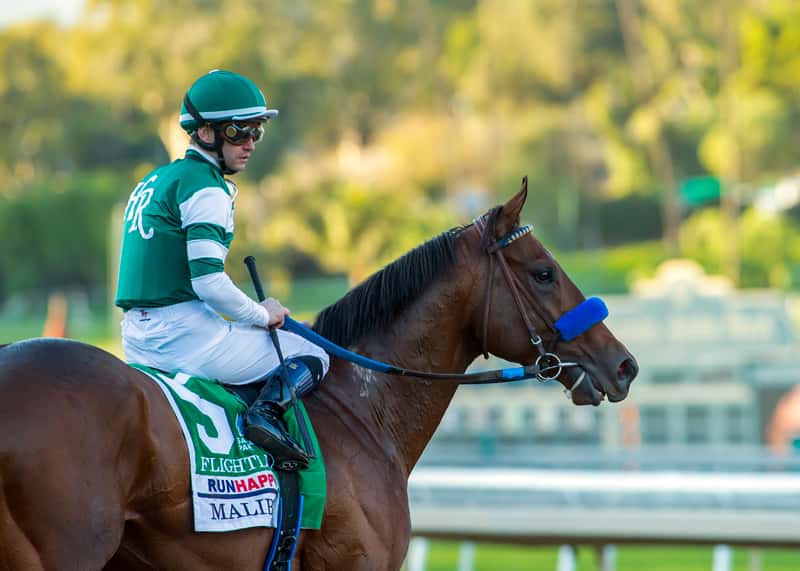 Santa Anita Stable Notes Sunday, January 8, 2023