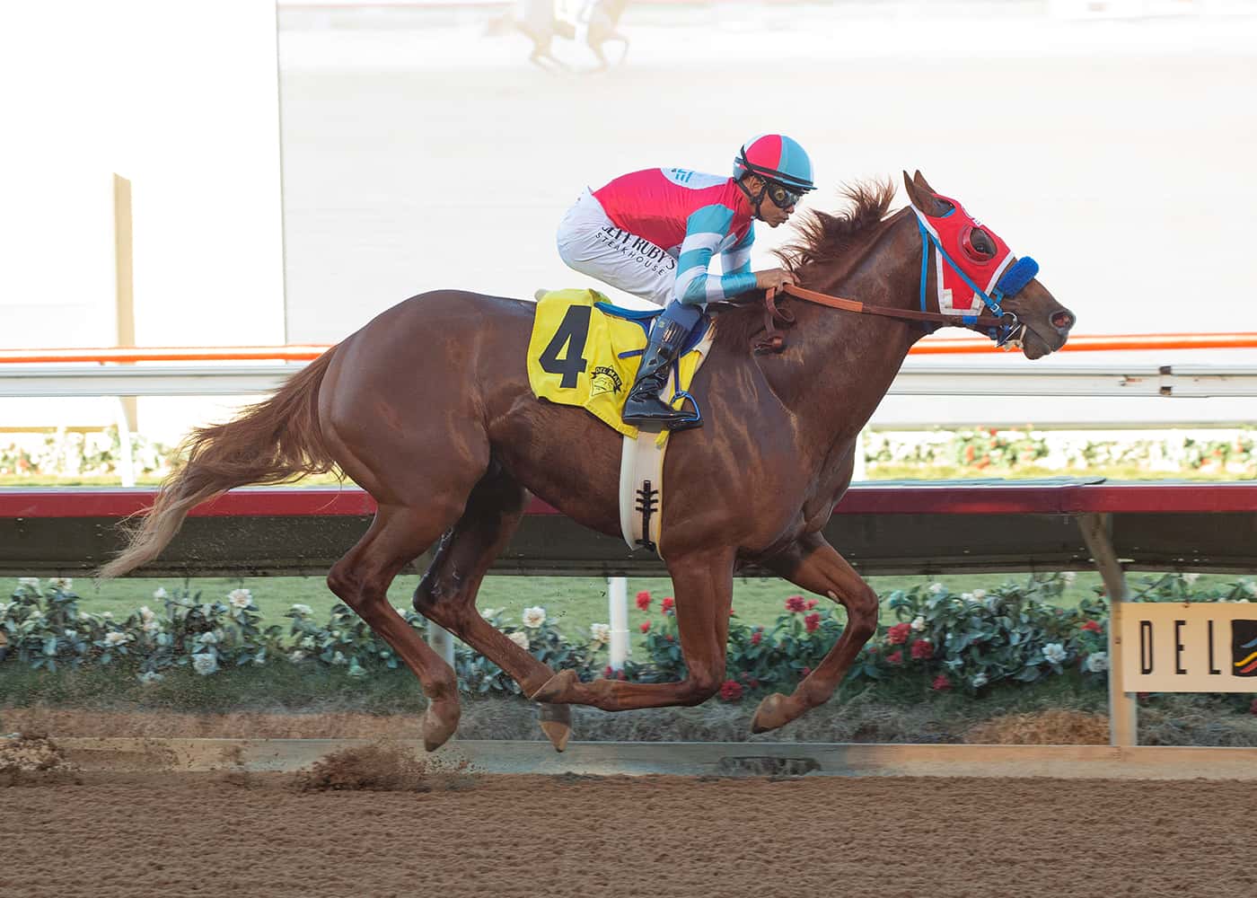 Glatt Takes On Baffert As Spun Intended Rates Big Chance In Sunday’s Grade III, $100,000 Sham Stakes