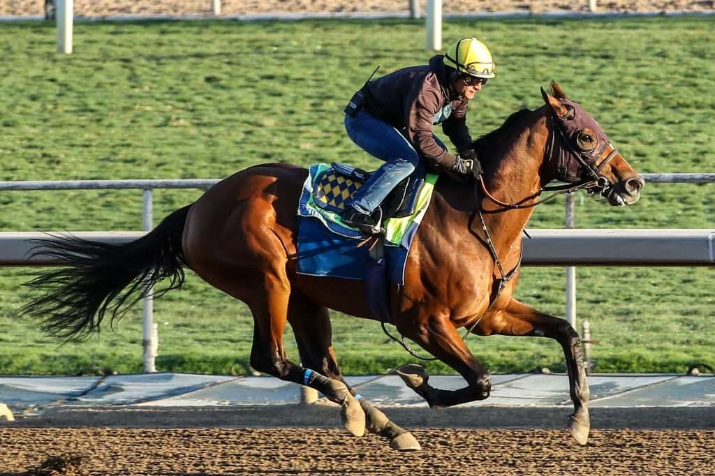 Santa Anita Stable Notes Sunday, Oct. 20, 2024