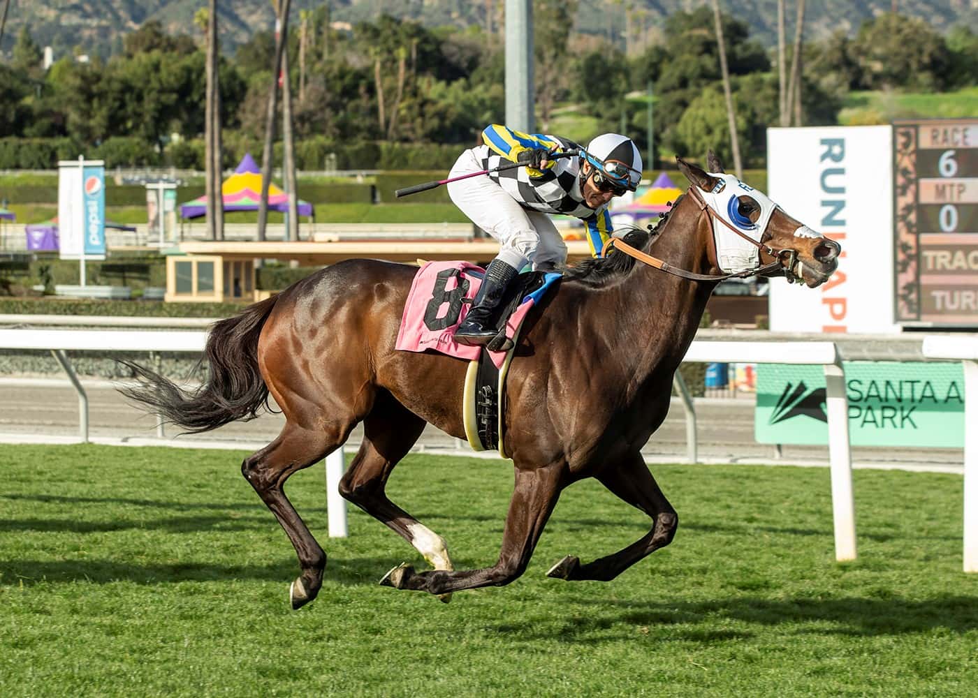 Brazilian-Bred Macadamia Rallies For 1 ½ Length Win In $75,000 Santa Anita Allowance Feature