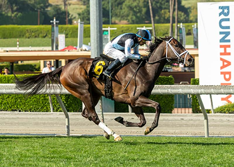 Queen Goddess Looms Prominent Off Bench In Saturday’s Grade Iii, $100,000 Robert J. Frankel Stakes