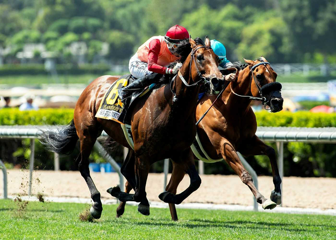 Favorite Planetario Makes It Back-To-Back Wins In The GIII, $100,000 San Juan Capistrano Stakes