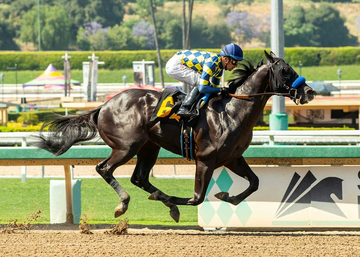 Juvenile Colt Midland Money Rolls To 6-Length Debut Victory For Baffert Going 5 Furlongs At Santa Anita