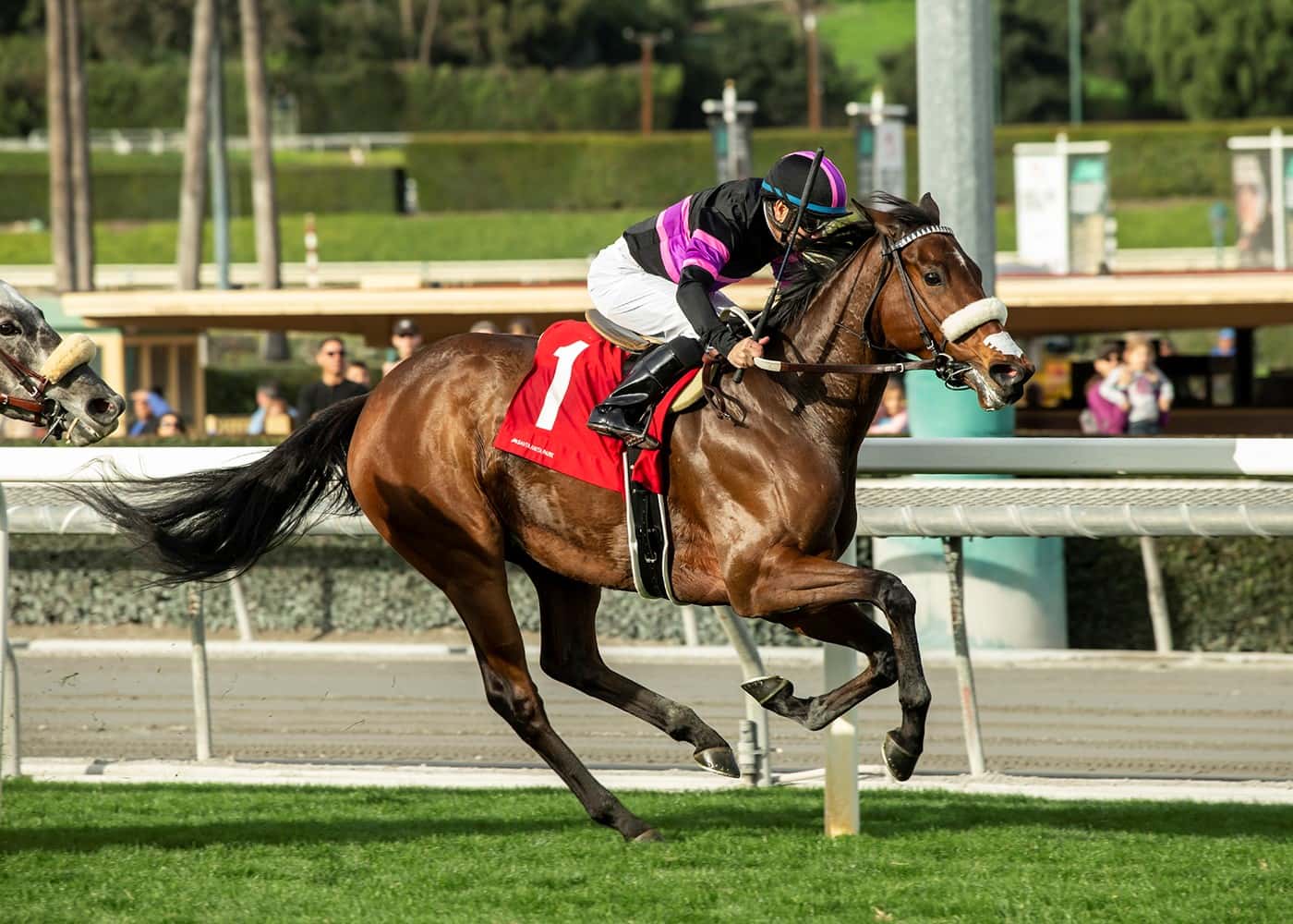 Big Summer All Heart In Winning $150,000 Sunshine Millions Filly & Mare Turf Sprint