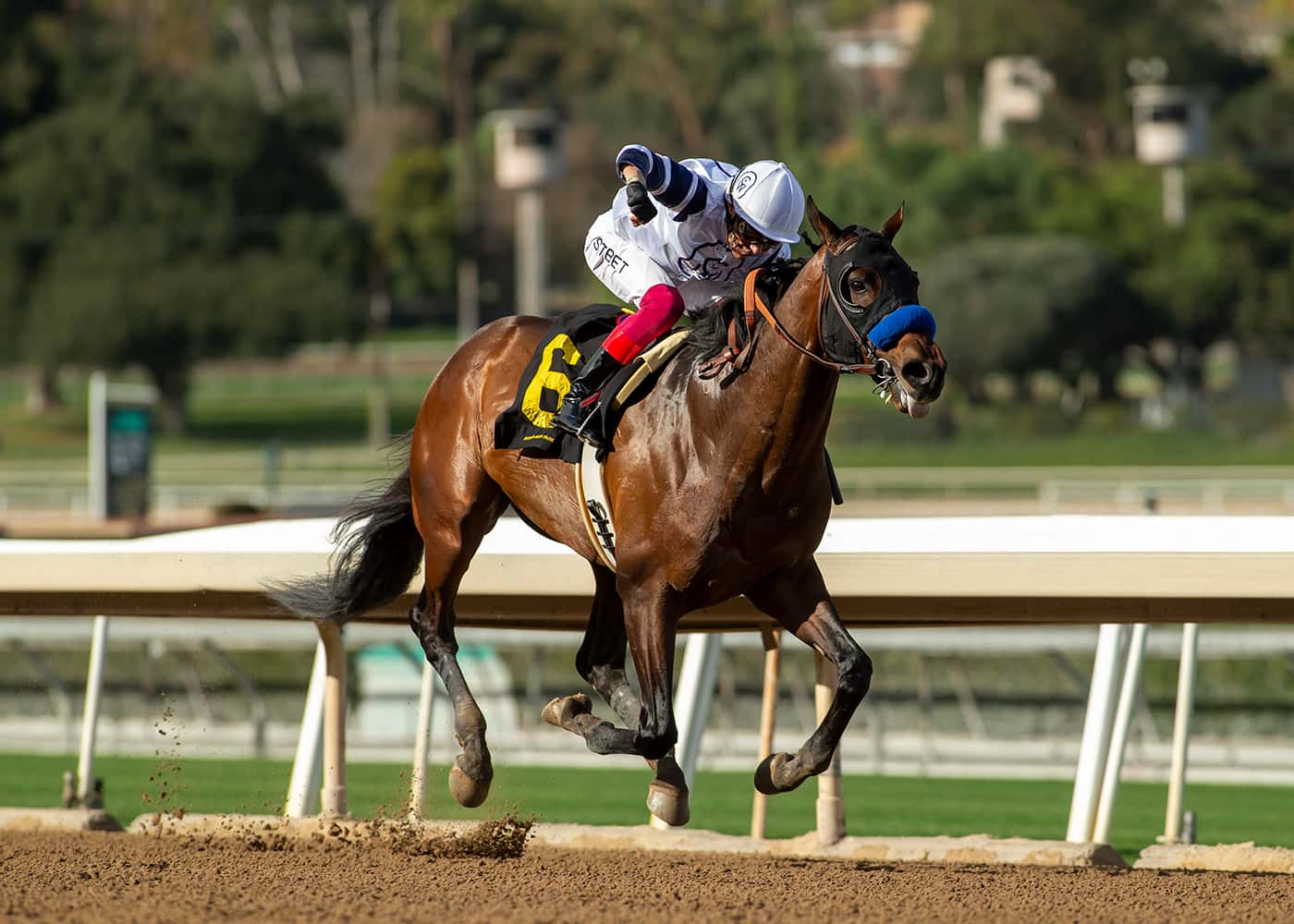 Superstar European-Based Dettori Guides Baffert’s Country Grammer To 4 ½ Length Win In Grade II, $200,000 San Antonio