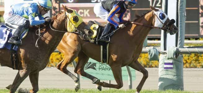 D’AMATO BIDS FOR HIS 4TH CONSECUTIVE WIN IN SUNDAY’S GRADE III, $125,000 SAN JUAN CAPISTRANO WITH TURF VETS RIJEKA & RED KING