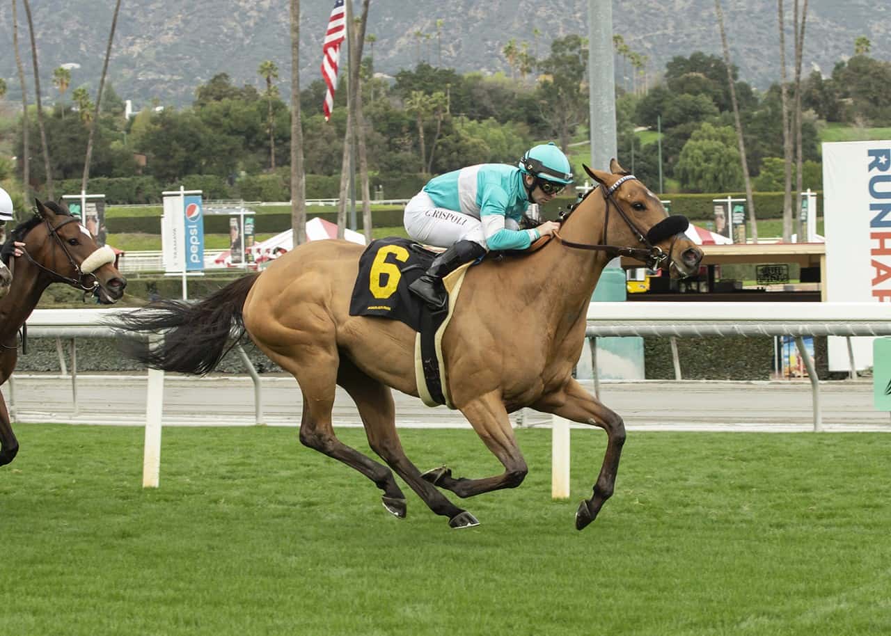 D’Amato’s Amy C Remains Perfect Down Hillside Turf As She Rallies To Win Grade III, $100,000 Las Cienegas Stakes