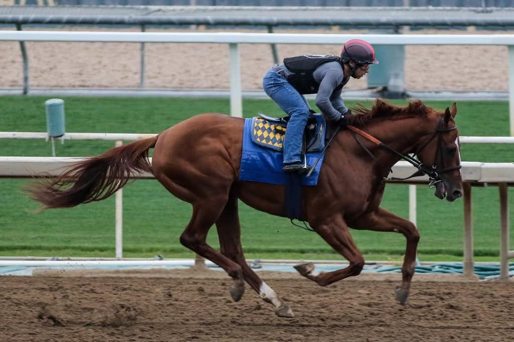 Santa Anita Stable Notes Friday, May 17, 2024