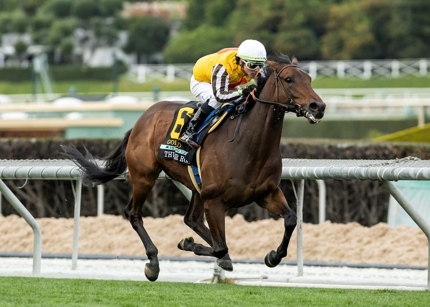 Santa Anita Stable Notes Friday, Oct. 11, 2024