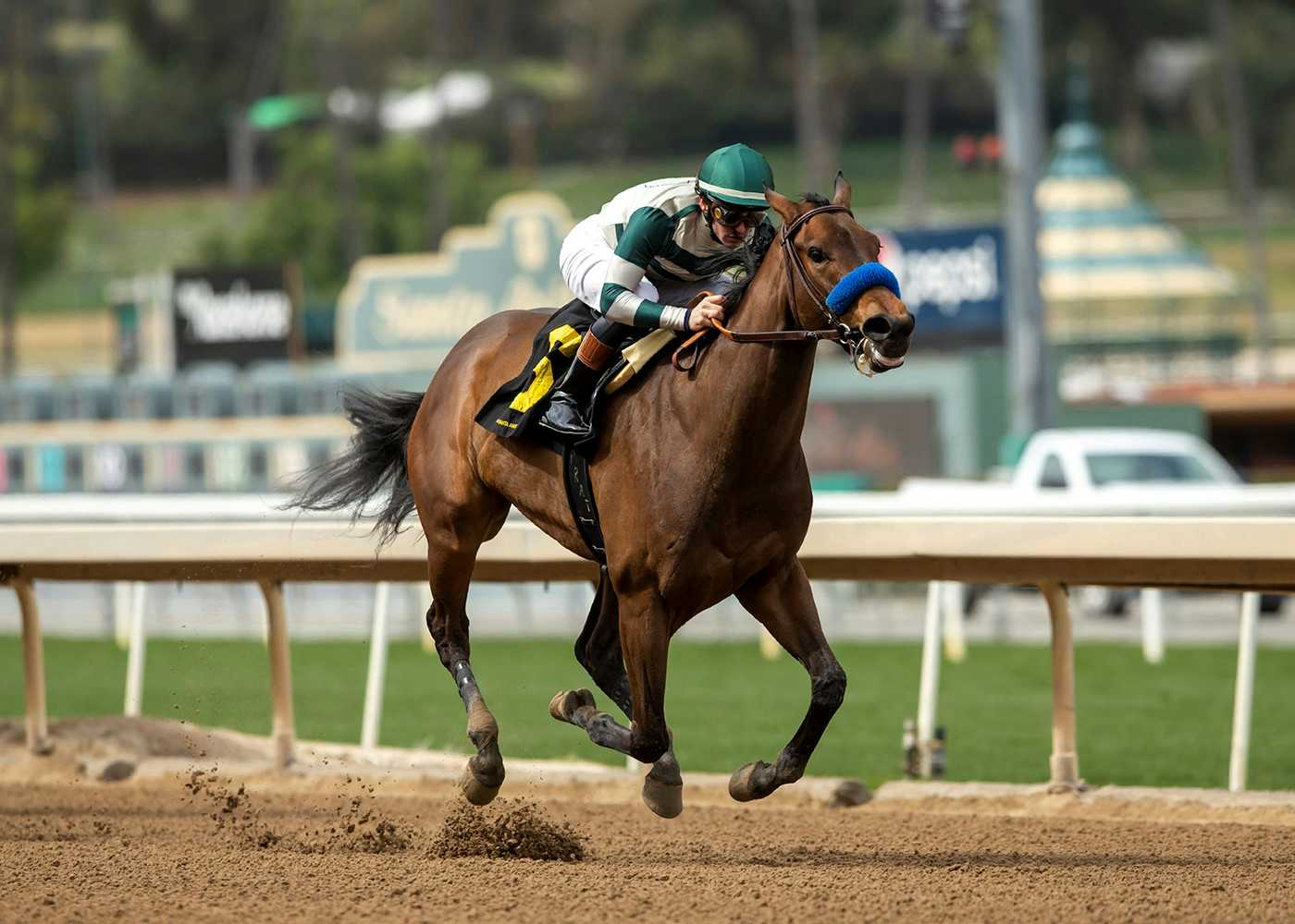 Faiza Remains Unbeaten As She Rolls To 2 ¼ Length Win In Grade III, $100,000 Santa Ysabel Stakes