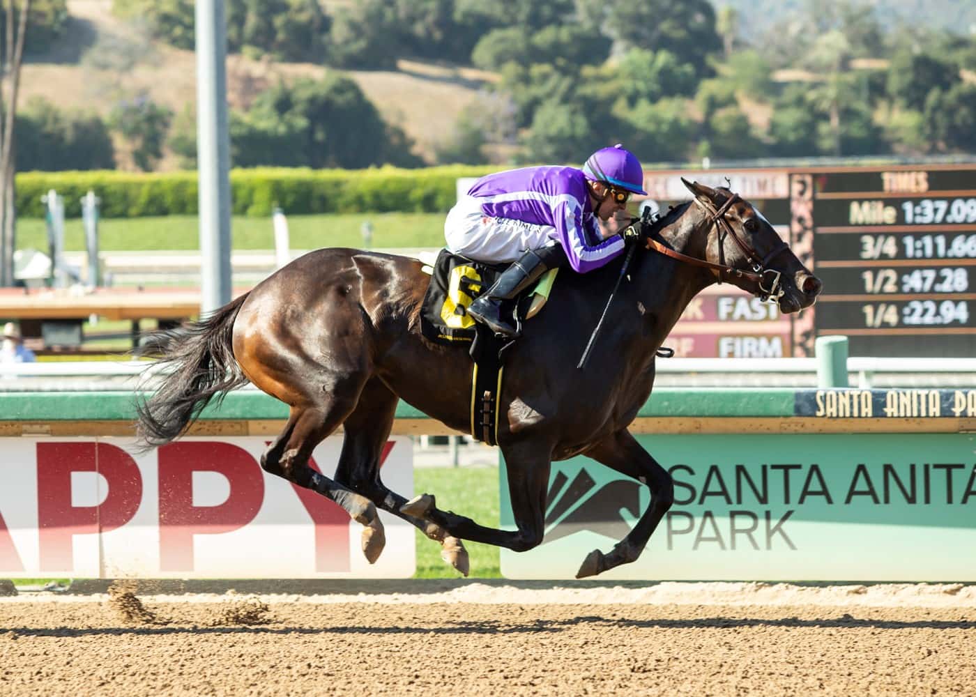 Ganadora, Under The Stars Lead A Competitive Group Of Fillies & Mares In Saturday’s The Grade III, $200,000 La Canada Stakes