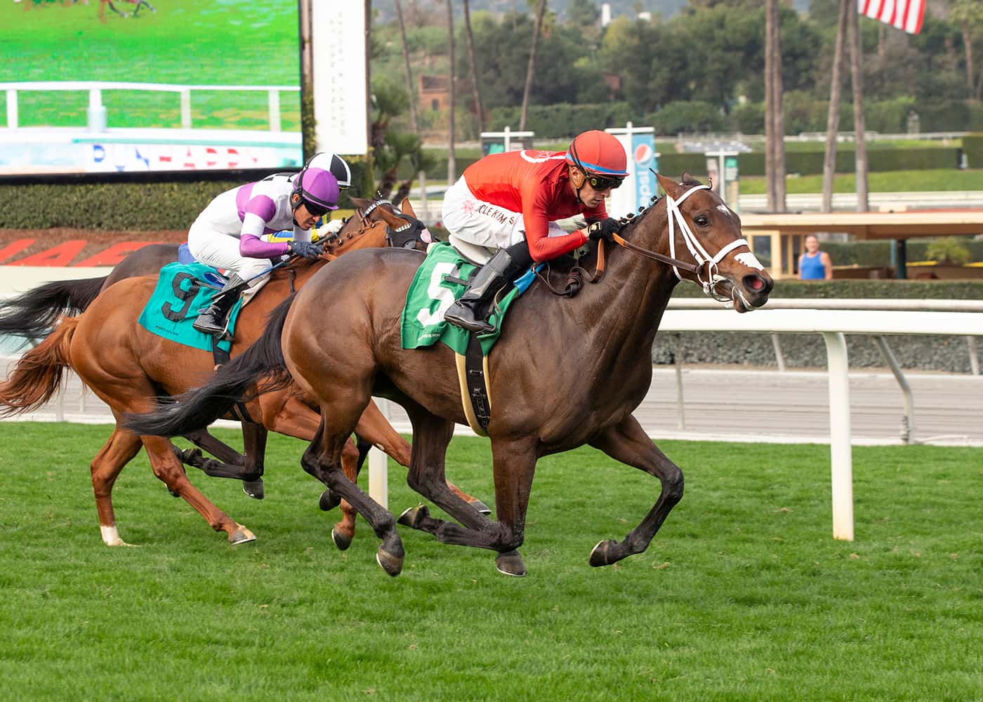 Irish-Bred The Wild Grazer Looms Large In Saturday’s $100,000 China Doll Stakes