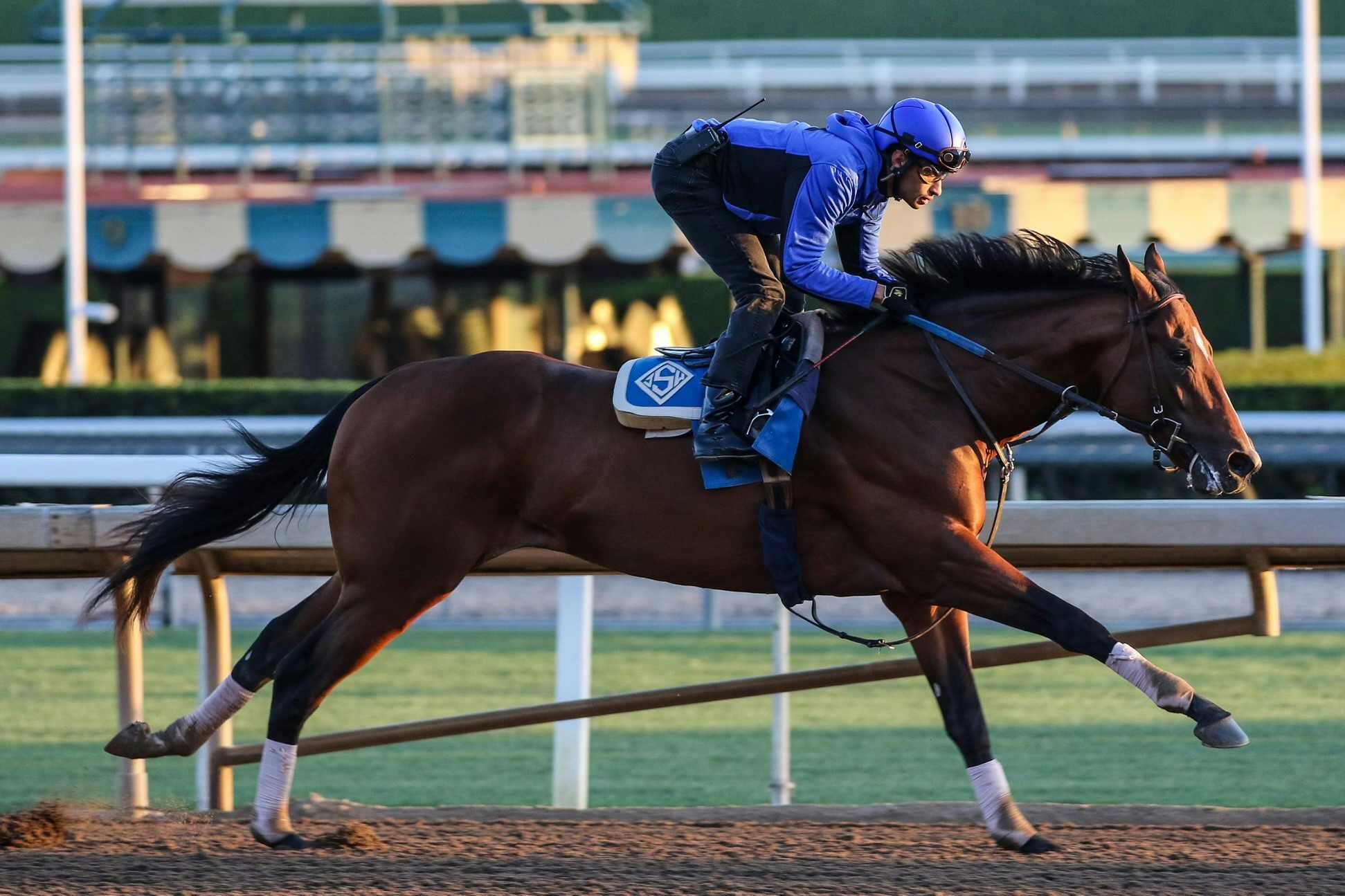 Santa Anita Stable Notes Sunday, May 26, 2024