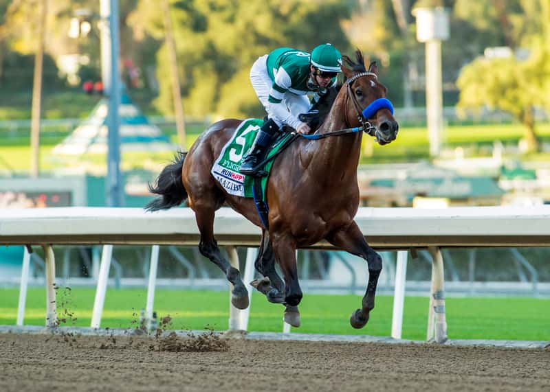 Unbeaten Flightline To Drill Six Furlongs On Saturday At Santa Anita In Preparation For Grade I, $6 Million Breeders’ Cup Classic