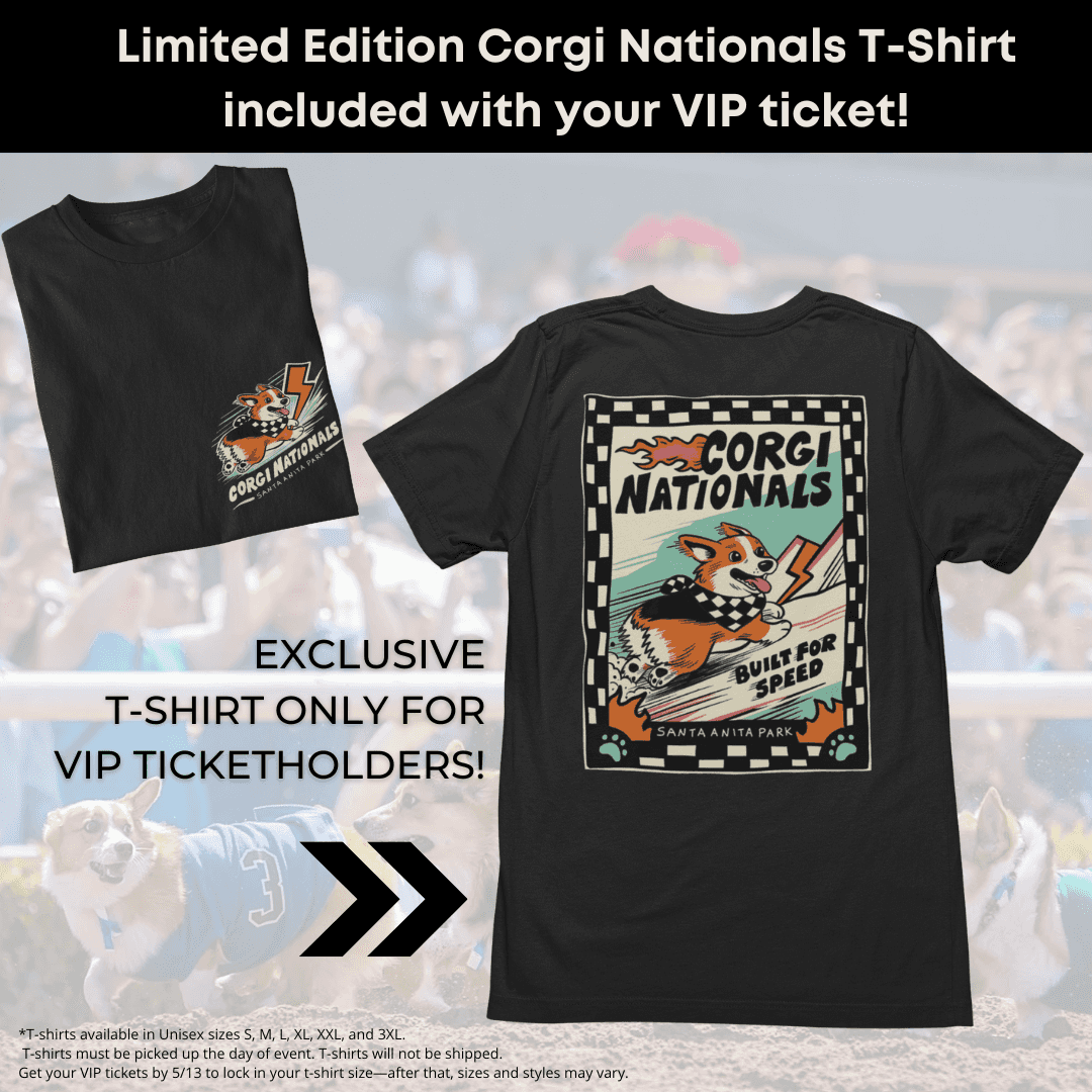 Corgi Nationals EXCLUSIVE VIP ITEM INCLUDED WITH VIP TICKET