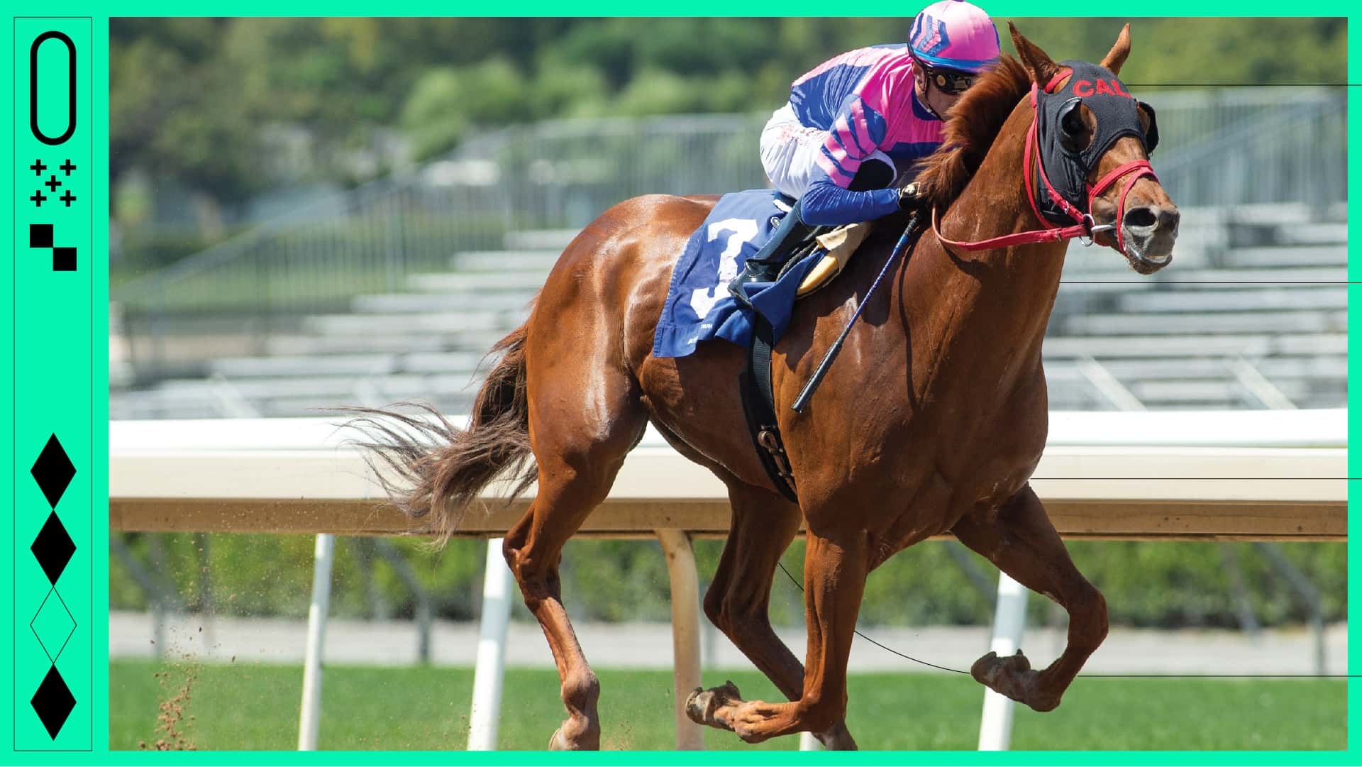 sa autumn meet branding 1920x1080 nocopy-100 (1)