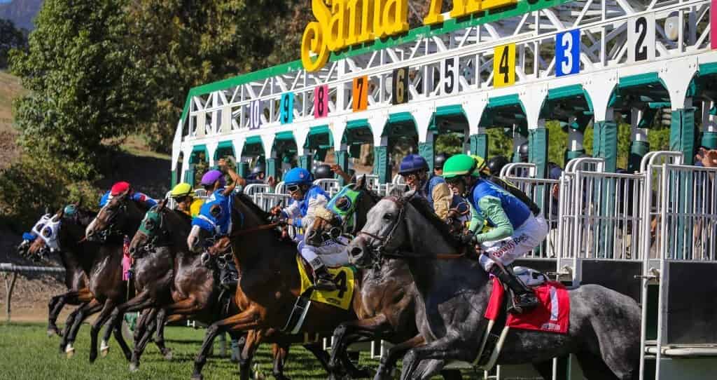 Gate-break-hillside-turf-EDIT