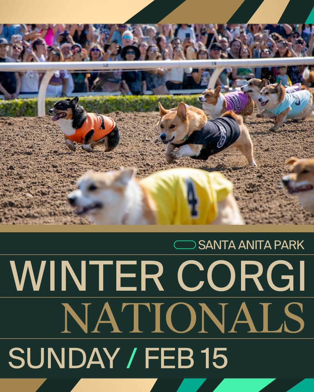 Corgi Nationals 26 1080x1350